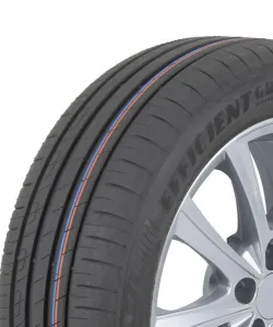 GOODYEAR 205/55R17 91W Efficientgrip Performance